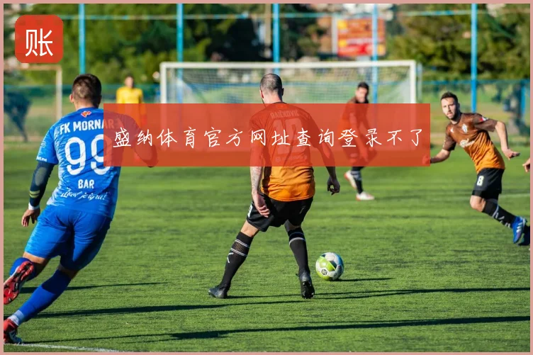 盛纳体育官方网址查询登录不了