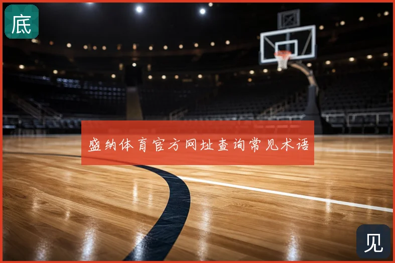 盛纳体育官方网址查询常见术语